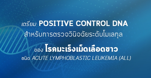 เตรียม positive control DNA สำหรับการตรวจวินิจฉัยระดับโมเลกุล